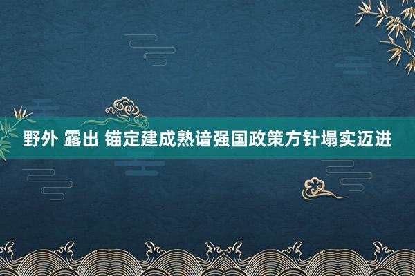 野外 露出 锚定建成熟谙强国政策方针塌实迈进