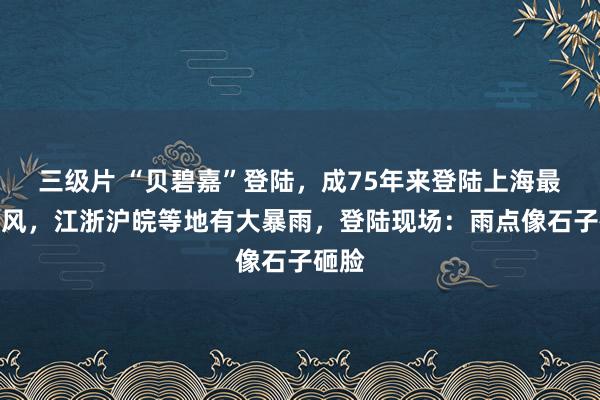 三级片 “贝碧嘉”登陆，成75年来登陆上海最强台风，江浙沪皖等地有大暴雨，登陆现场：雨点像石子砸脸