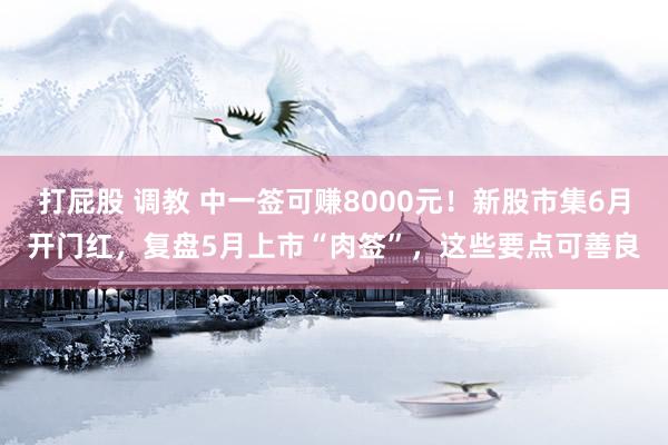 打屁股 调教 中一签可赚8000元！新股市集6月开门红，复盘5月上市“肉签”，这些要点可善良