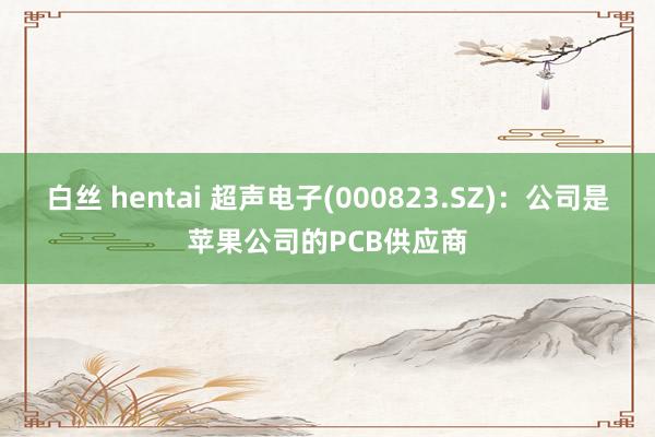 白丝 hentai 超声电子(000823.SZ)：公司是苹果公司的PCB供应商