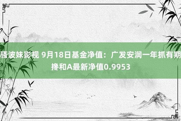 骚波妹影视 9月18日基金净值：广发安润一年抓有期搀和A最新净值0.9953