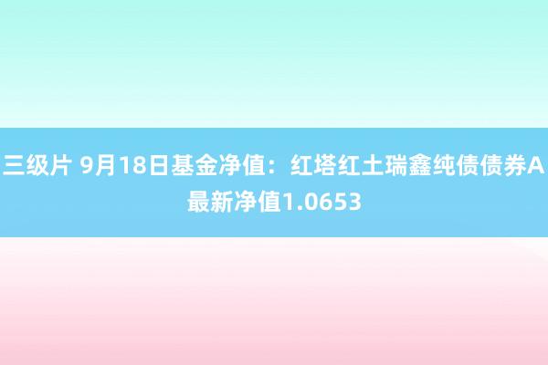 三级片 9月18日基金净值：红塔红土瑞鑫纯债债券A最新净值1.0653