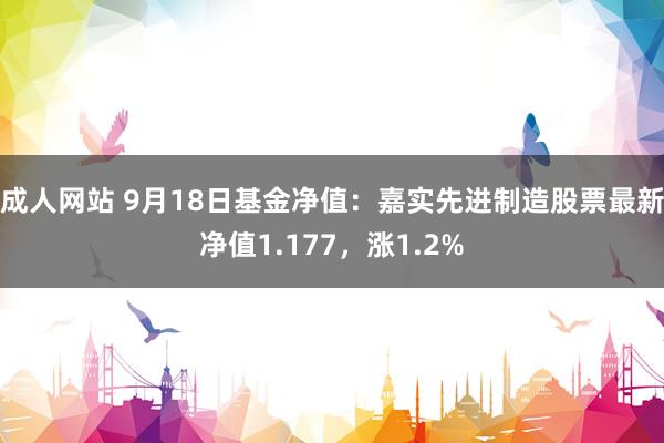 成人网站 9月18日基金净值：嘉实先进制造股票最新净值1.177，涨1.2%