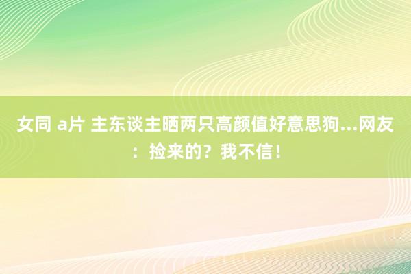 女同 a片 主东谈主晒两只高颜值好意思狗...网友：捡来的？我不信！