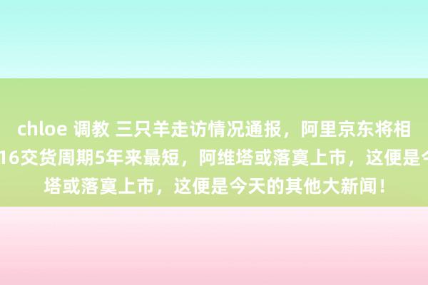 chloe 调教 三只羊走访情况通报，阿里京东将相互敞开，iPhone 16交货周期5年来最短，阿维塔或落寞上市，这便是今天的其他大新闻！