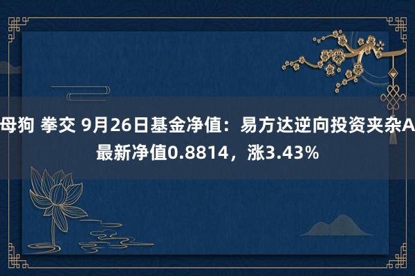 母狗 拳交 9月26日基金净值：易方达逆向投资夹杂A最新净值0.8814，涨3.43%