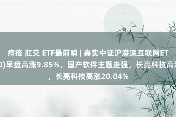 痔疮 肛交 ETF最前哨 | 嘉实中证沪港深互联网ETF(517200)早盘高涨9.85%，国产软件主题走强，长亮科技高涨20.04%