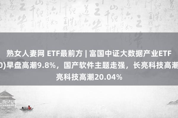 熟女人妻网 ETF最前方 | 富国中证大数据产业ETF(515400)早盘高潮9.8%，国产软件主题走强，长亮科技高潮20.04%