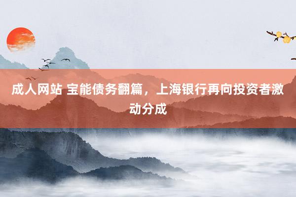 成人网站 宝能债务翻篇，上海银行再向投资者激动分成