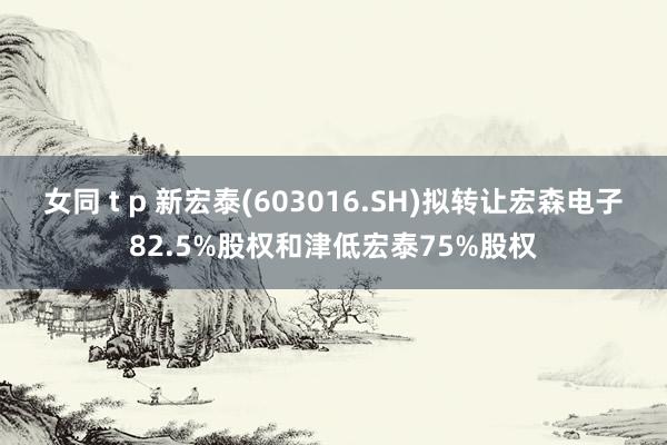 女同 t p 新宏泰(603016.SH)拟转让宏森电子82.5%股权和津低宏泰75%股权