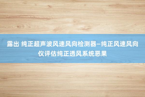 露出 纯正超声波风速风向检测器—纯正风速风向仪评估纯正透风系统恶果