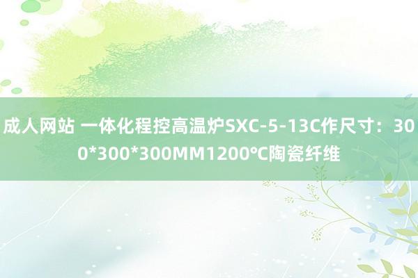 成人网站 一体化程控高温炉SXC-5-13C作尺寸：300*300*300MM1200℃陶瓷纤维