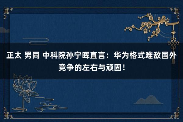 正太 男同 中科院孙宁晖直言：华为格式难敌国外竞争的左右与顽固！