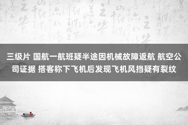 三级片 国航一航班疑半途因机械故障返航 航空公司证据 搭客称下飞机后发现飞机风挡疑有裂纹