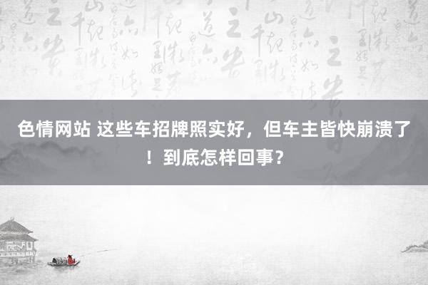 色情网站 这些车招牌照实好，但车主皆快崩溃了！到底怎样回事？