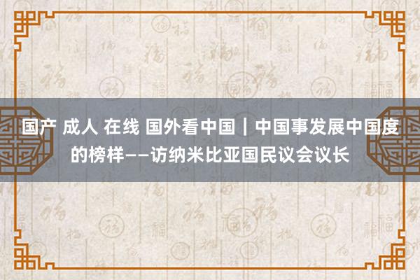 国产 成人 在线 国外看中国｜中国事发展中国度的榜样——访纳米比亚国民议会议长