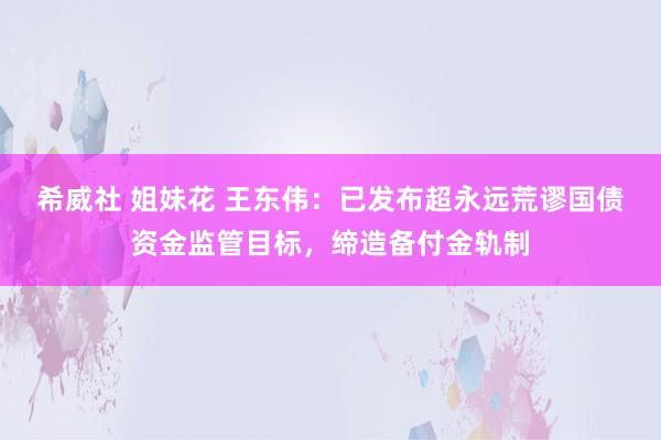 希威社 姐妹花 王东伟：已发布超永远荒谬国债资金监管目标，缔造备付金轨制