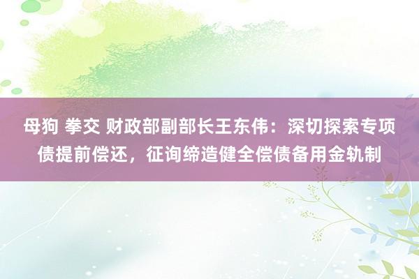 母狗 拳交 财政部副部长王东伟：深切探索专项债提前偿还，征询缔造健全偿债备用金轨制