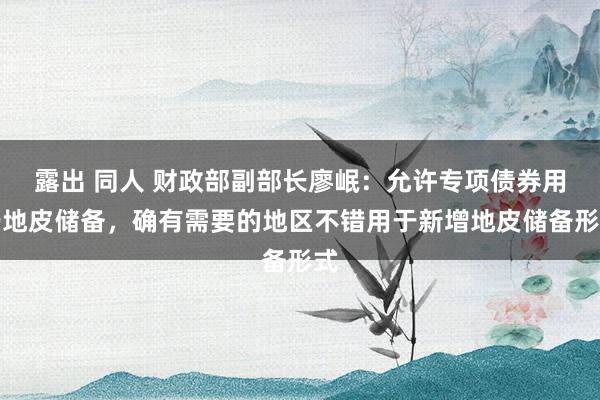 露出 同人 财政部副部长廖岷：允许专项债券用于地皮储备，确有需要的地区不错用于新增地皮储备形式