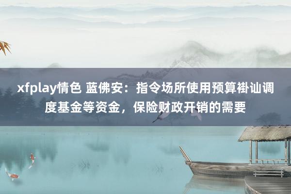 xfplay情色 蓝佛安：指令场所使用预算褂讪调度基金等资金，保险财政开销的需要