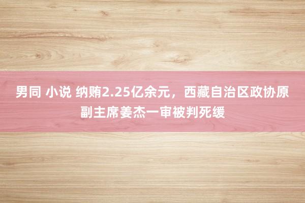 男同 小说 纳贿2.25亿余元，西藏自治区政协原副主席姜杰一审被判死缓