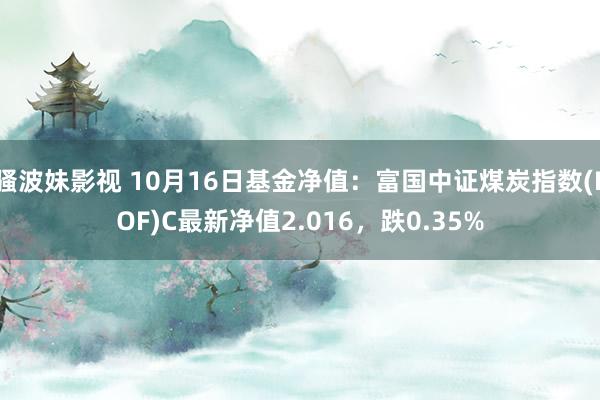 骚波妹影视 10月16日基金净值：富国中证煤炭指数(LOF)C最新净值2.016，跌0.35%