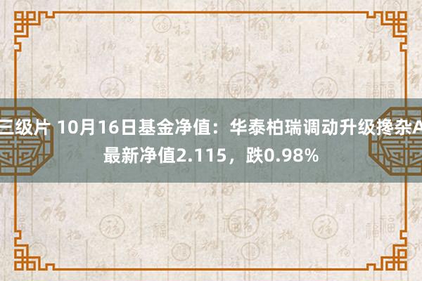 三级片 10月16日基金净值：华泰柏瑞调动升级搀杂A最新净值2.115，跌0.98%