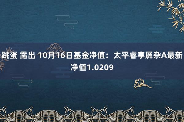 跳蛋 露出 10月16日基金净值：太平睿享羼杂A最新净值1.0209