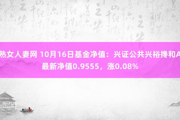 熟女人妻网 10月16日基金净值：兴证公共兴裕搀和A最新净值0.9555，涨0.08%