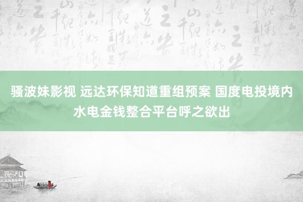 骚波妹影视 远达环保知道重组预案 国度电投境内水电金钱整合平台呼之欲出