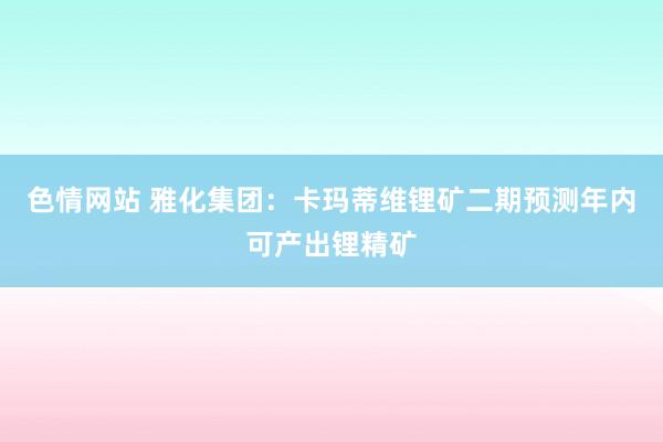 色情网站 雅化集团：卡玛蒂维锂矿二期预测年内可产出锂精矿