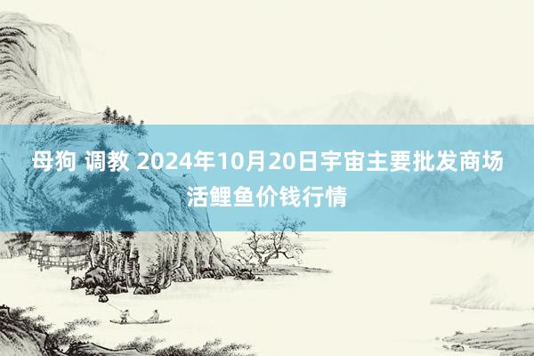 母狗 调教 2024年10月20日宇宙主要批发商场活鲤鱼价钱行情