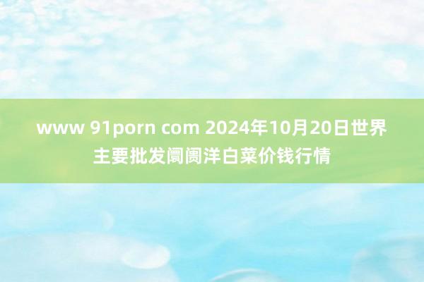 www 91porn com 2024年10月20日世界主要批发阛阓洋白菜价钱行情