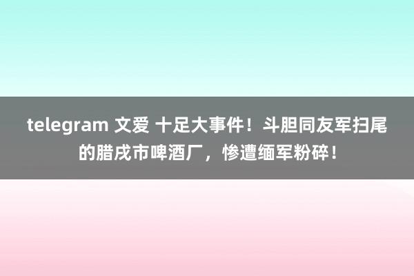 telegram 文爱 十足大事件！斗胆同友军扫尾的腊戌市啤酒厂，惨遭缅军粉碎！