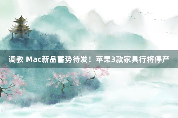 调教 Mac新品蓄势待发！苹果3款家具行将停产