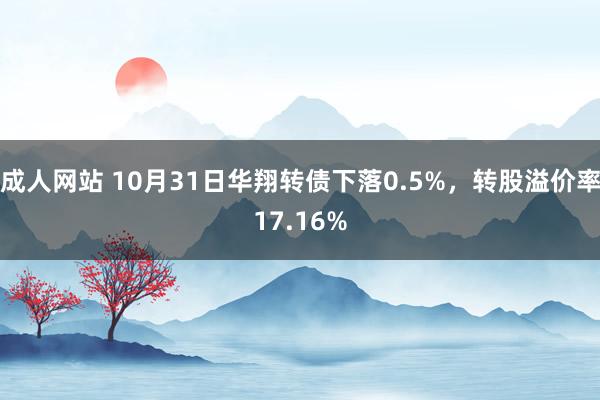 成人网站 10月31日华翔转债下落0.5%，转股溢价率17.16%