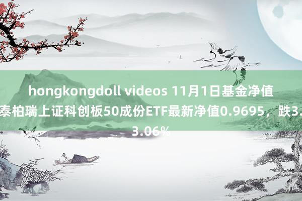 hongkongdoll videos 11月1日基金净值：华泰柏瑞上证科创板50成份ETF最新净值0.9695，跌3.06%