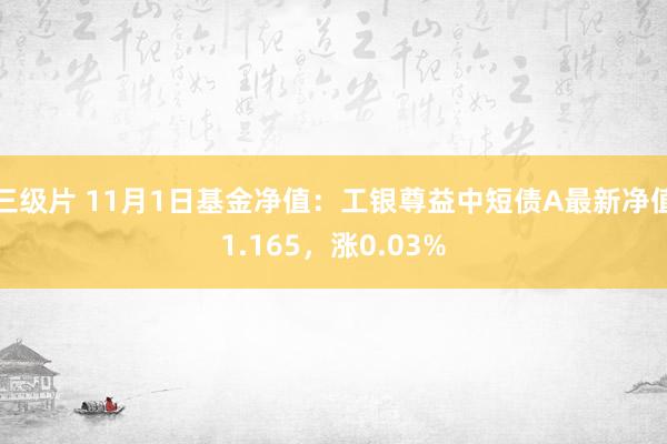 三级片 11月1日基金净值：工银尊益中短债A最新净值1.165，涨0.03%