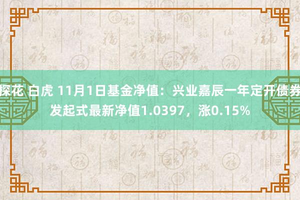 探花 白虎 11月1日基金净值：兴业嘉辰一年定开债券发起式最新净值1.0397，涨0.15%