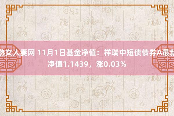 熟女人妻网 11月1日基金净值：祥瑞中短债债券A最新净值1.1439，涨0.03%