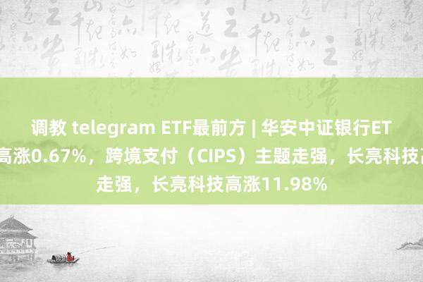 调教 telegram ETF最前方 | 华安中证银行ETF(516210)高涨0.67%，跨境支付（CIPS）主题走强，长亮科技高涨11.98%