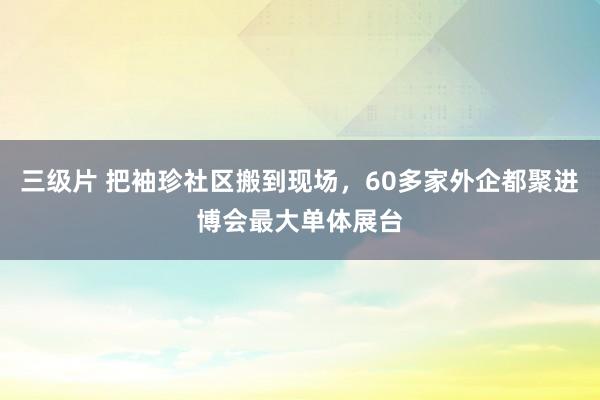 三级片 把袖珍社区搬到现场，60多家外企都聚进博会最大单体展台