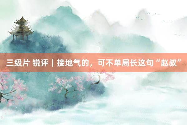 三级片 锐评｜接地气的，可不单局长这句“赵叔”