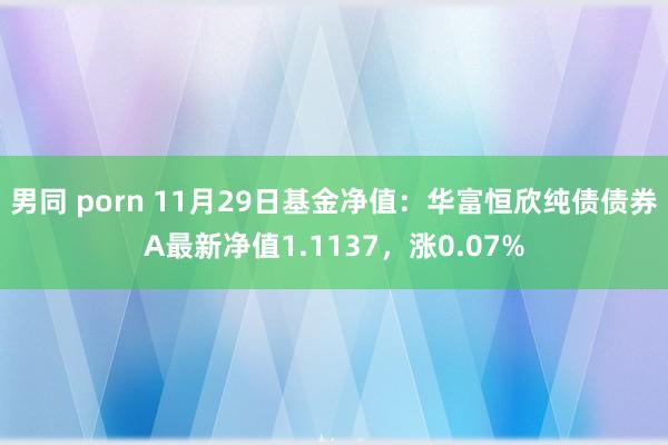 男同 porn 11月29日基金净值：华富恒欣纯债债券A最新净值1.1137，涨0.07%