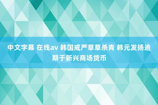 中文字幕 在线av 韩国戒严草草杀青 韩元发扬逾期于新兴商场货币