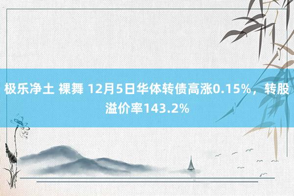 极乐净土 裸舞 12月5日华体转债高涨0.15%，转股溢价率143.2%