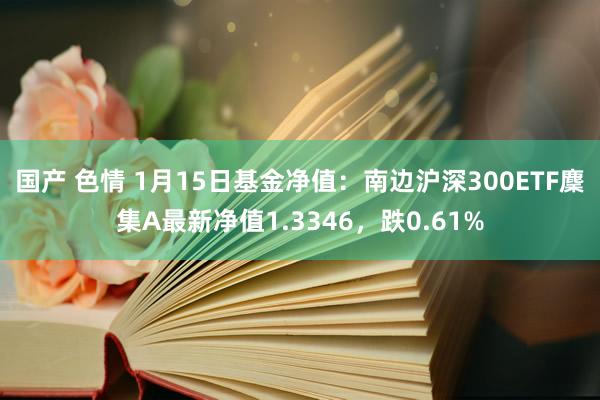 国产 色情 1月15日基金净值：南边沪深300ETF麇集A最新净值1.3346，跌0.61%