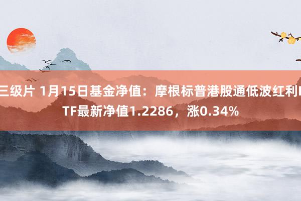 三级片 1月15日基金净值：摩根标普港股通低波红利ETF最新净值1.2286，涨0.34%