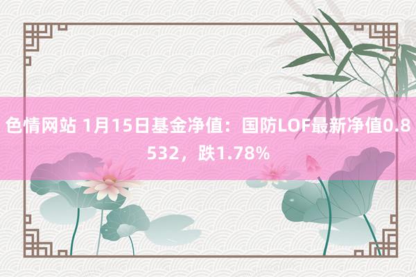 色情网站 1月15日基金净值：国防LOF最新净值0.8532，跌1.78%