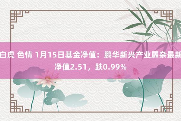 白虎 色情 1月15日基金净值：鹏华新兴产业羼杂最新净值2.51，跌0.99%